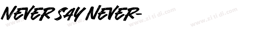 Never say never字体转换